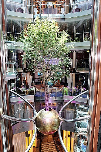 cruise14 (176)